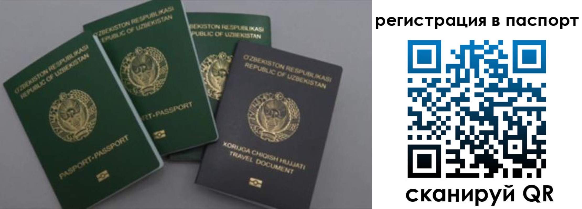 прописка от собственника в Медвежьегорске